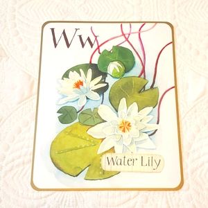 4 for $25! Letter W Water Lily Card